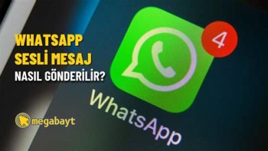 WhatsApp Kanalları'na Sesli Mesaj ve Anket Özellikleri Eklendi