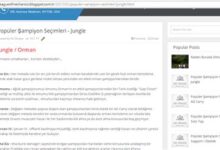 Blogger'lar İçin Para Kazanma Yöntemleri